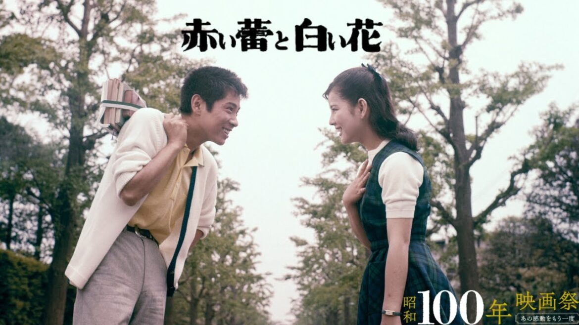 「赤い蕾と白い花」 「昭和100年映画祭」特集