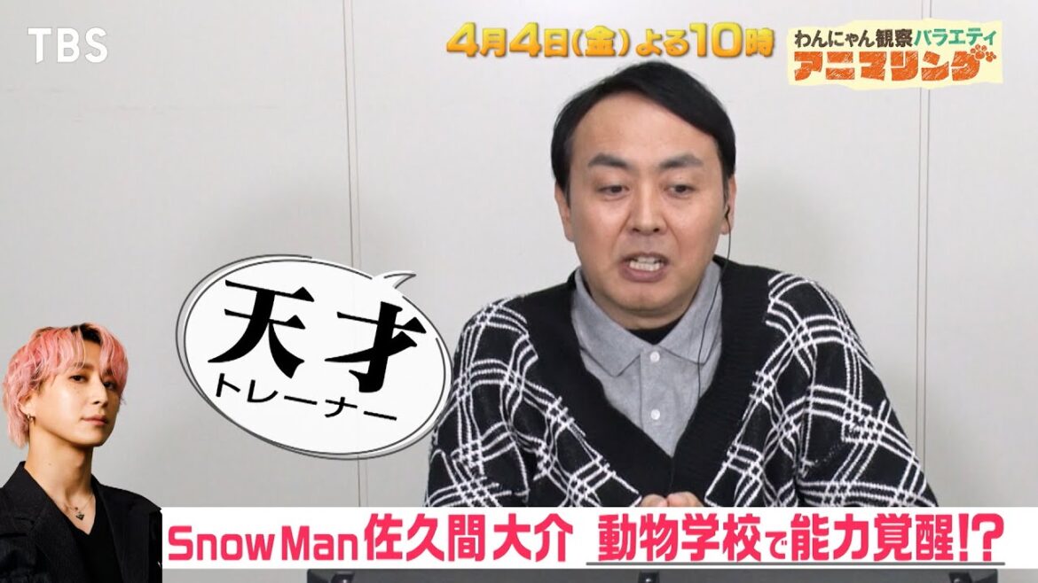 Snow Man 佐久間大介&なにわ男子 道枝駿佑が潜入アニマリング『アニマリング』4/4(金)【TBS】
