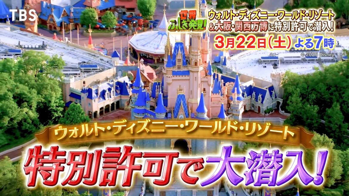 風間俊介が夢と魔法の国を大冒険!!『世界ふしぎ発見!』春の3時間SP!! 3/22(土)【TBS】