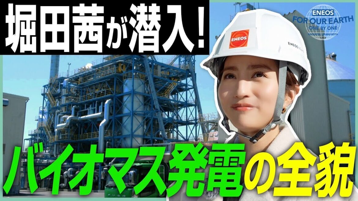 堀田茜が取材!話題のバイオマス発電って何?《 ENEOS FOR OUR EARTH -ONE BY ONE- 》