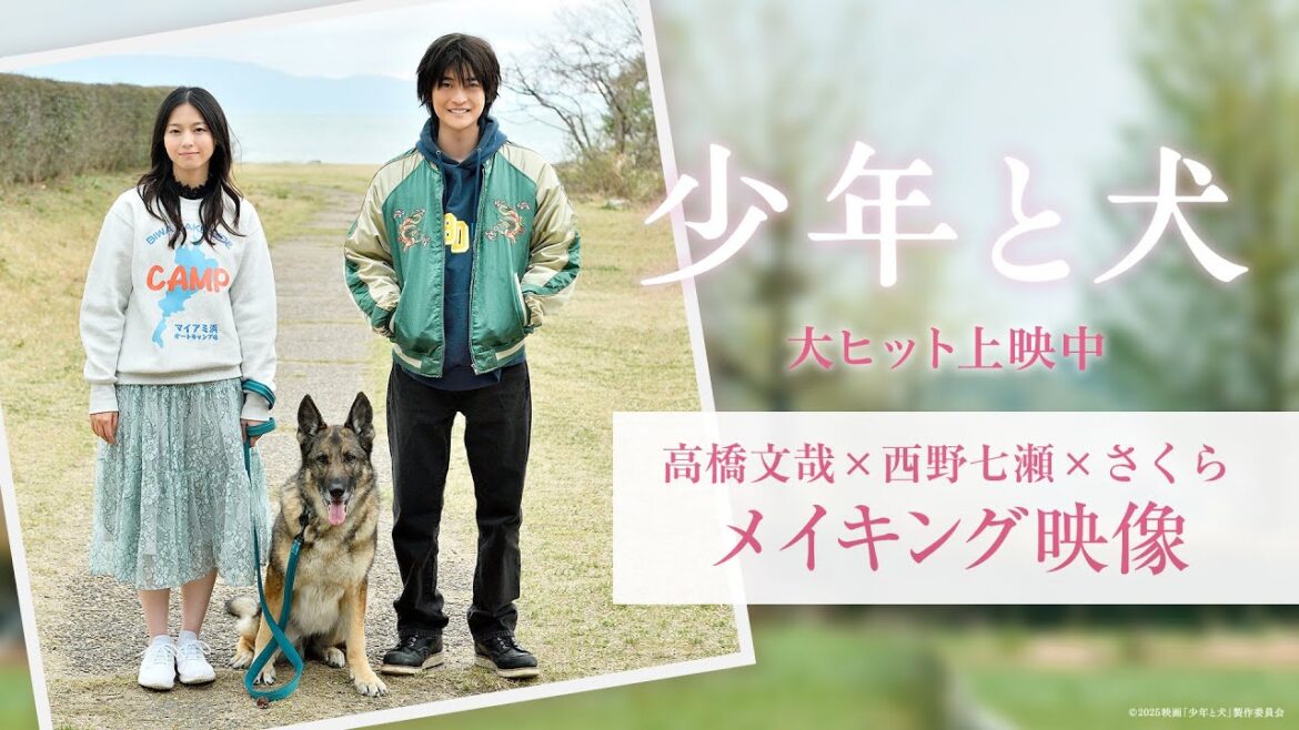 【高橋文哉×西野七瀬×さくら】映画『少年と犬』メイキング映像【大ヒット上映中】