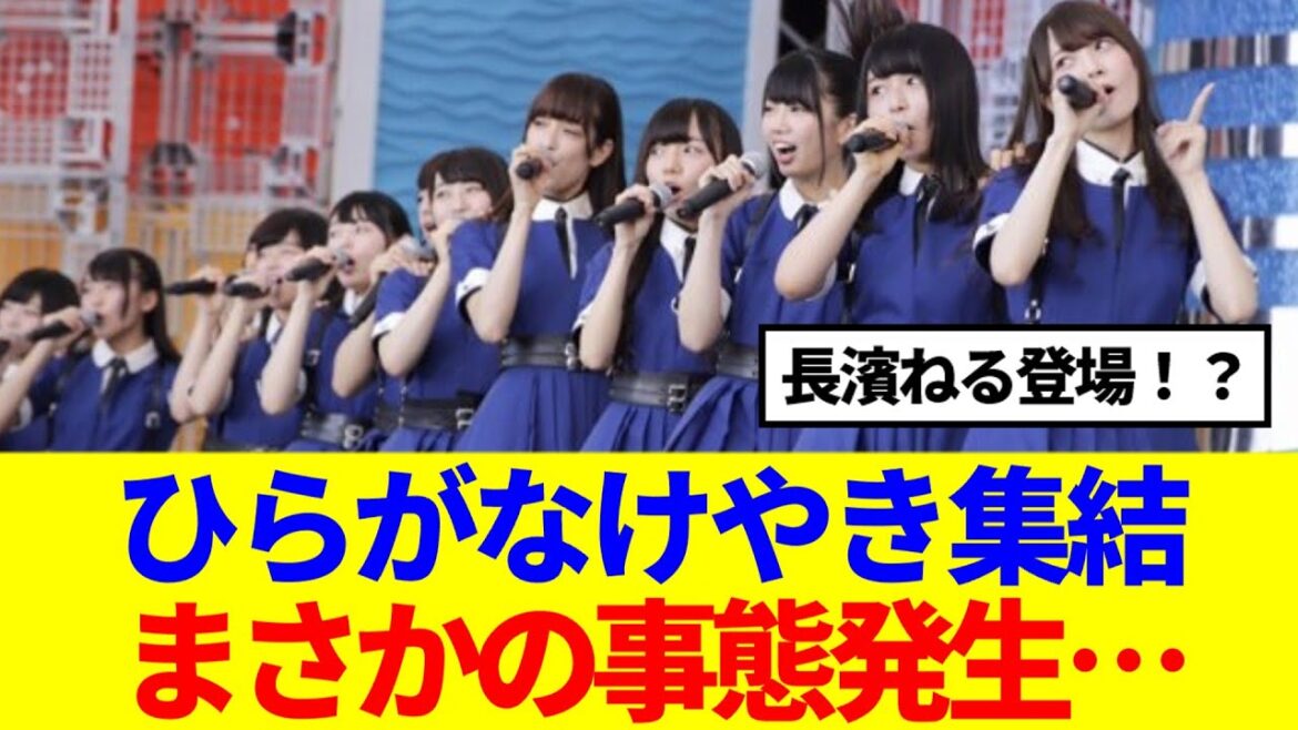 【長濱ねる!?】日向坂のライブでひらがなけやきメンバー集合の大サプライズ!!!