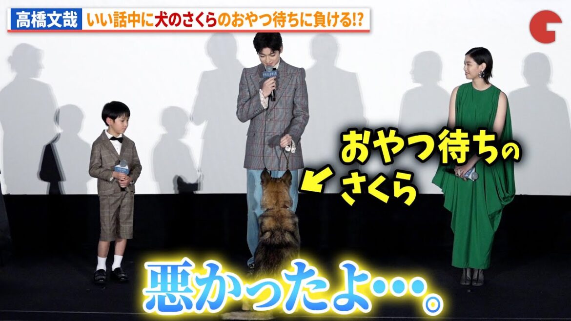 高橋文哉、いい話の途中で犬のさくらにおやつをねだられる!『少年と犬』初日舞台あいさつ