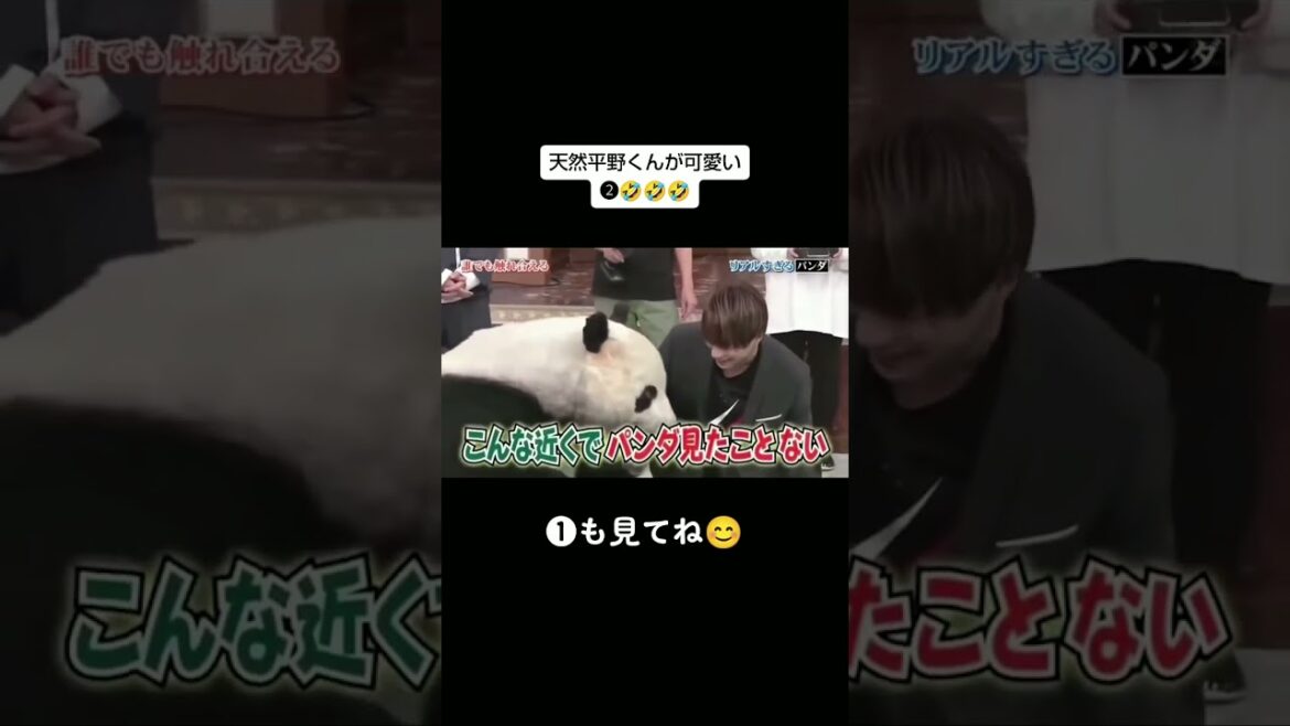 Part 5 #キンプリ#平野くん#天然#面白すぎる #運営さんよろしく 5 #short #逃走中 #キンプリ