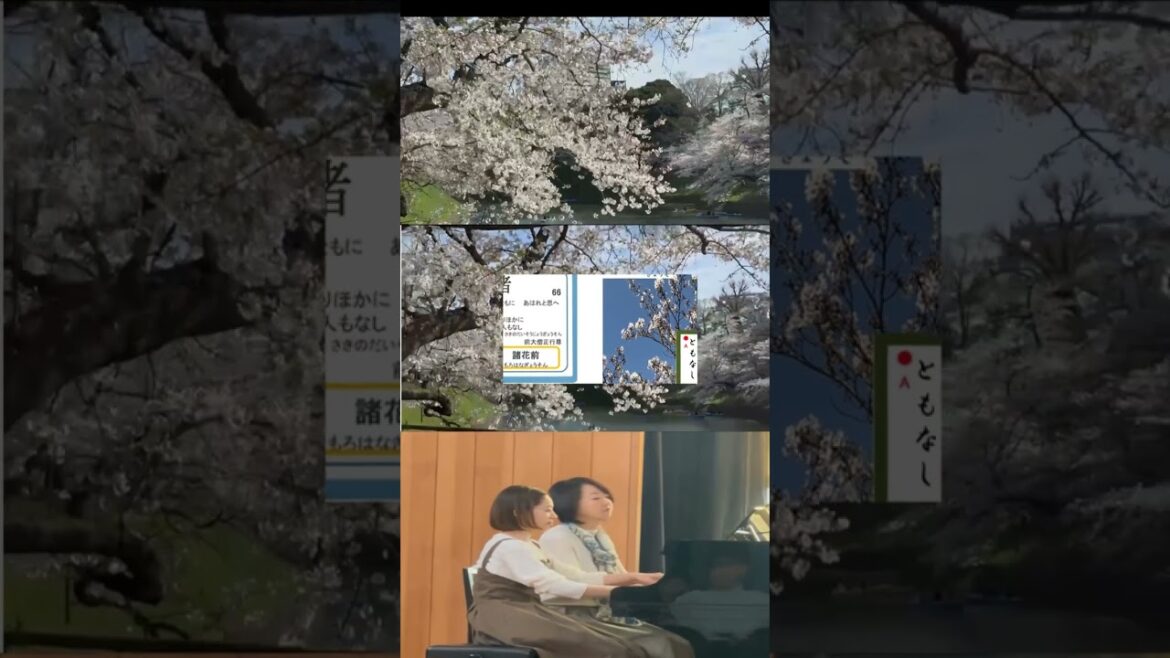 【春爛漫 東京 千鳥ヶ淵 今、桜満開 No4 】【名曲への誘い ピアノ連弾 松木詩奈と 後藤泉】モーツアルト 4手のためのソナタ 春を迎えて元気に!!元気に!!子供に聞かせる定期音楽会浜松栄光教会にて