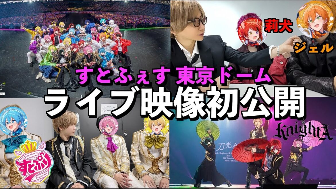 【実写】すとふぇすのライブ映像と裏側を全てを見せます!(すとぷり、KnightA-騎士A-、AMPTAKxCOLORS、めておら – Meteorites -、STPR)(東京ドーム)