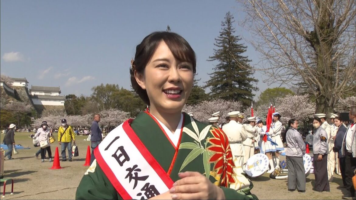 姫路市出身 丘みどりさん 「一日交通安全大使」に任命