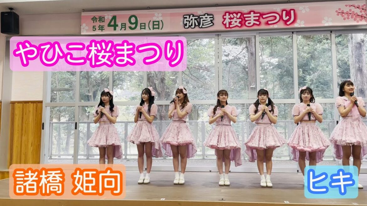 【4K ライブ映像】諸橋姫向「やひこ桜まつり」ヒキ