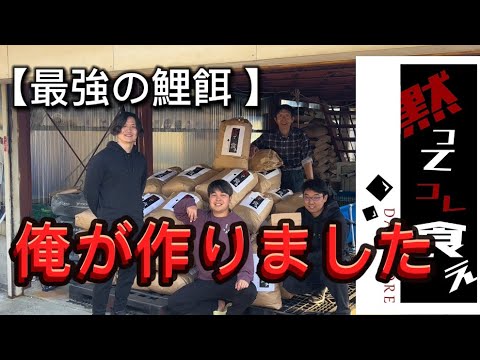 【新事業始動】 錦鯉にはこれ一択!!誰も真似できない完璧な餌を作りました #koi #nishikigoi