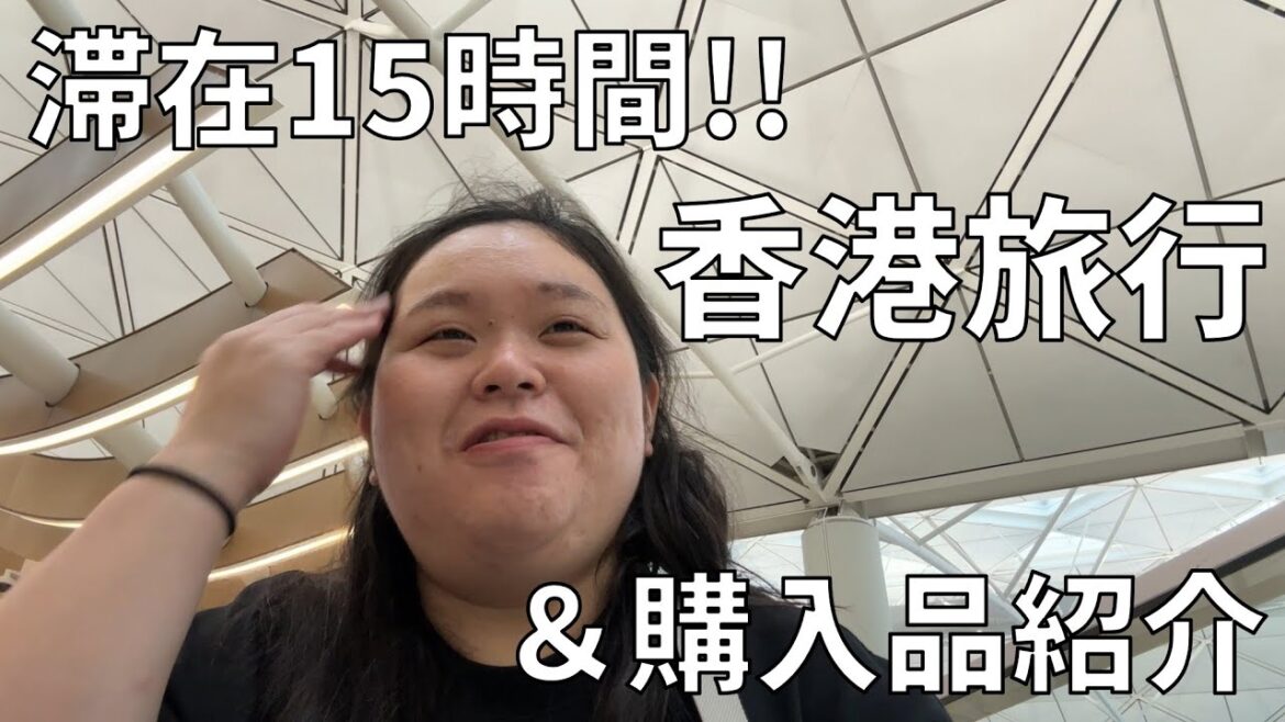 【香港購入品紹介】トワイライト・ウォリアーズにハマってついに香港に行ってきたよ!【憧れの叉焼飯を食べるわよ】
