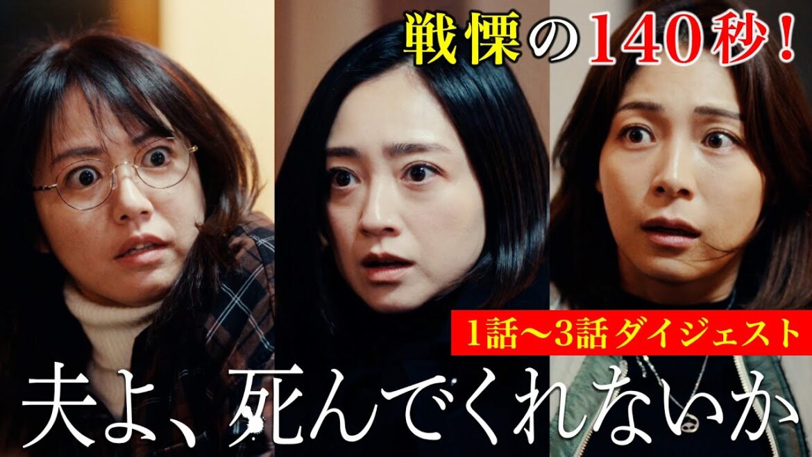 【期間限定】140秒でわかる!1話~3話ダイジェスト「夫よ、死んでくれないか」安達祐実 相武紗季 磯山さやか【公式】