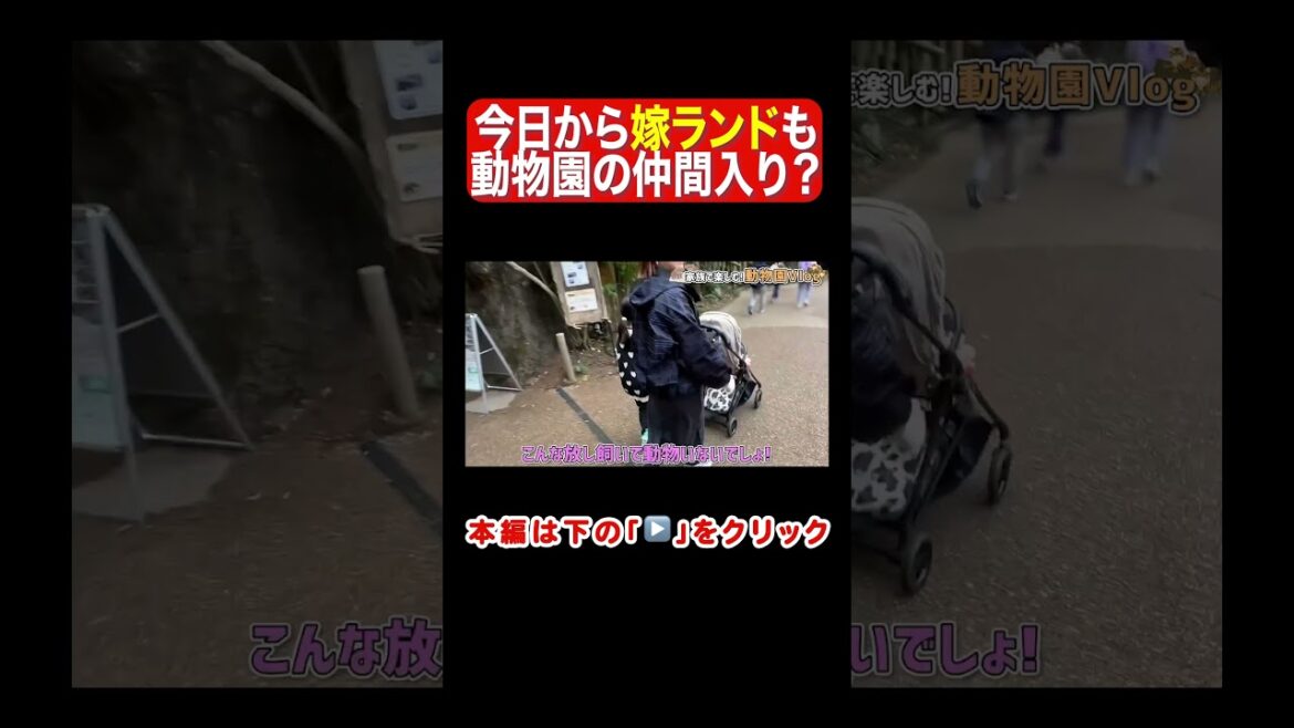 妻が動物園の仲間入り!?