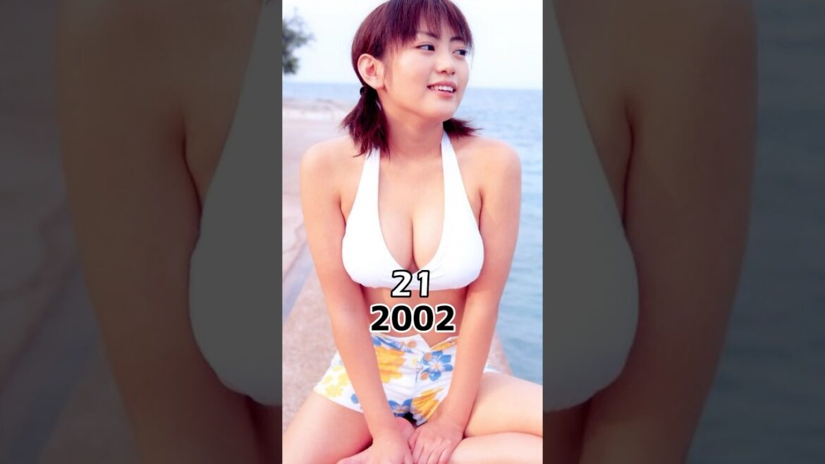 仮面ライダー剣/ブレイド 2004vs2024