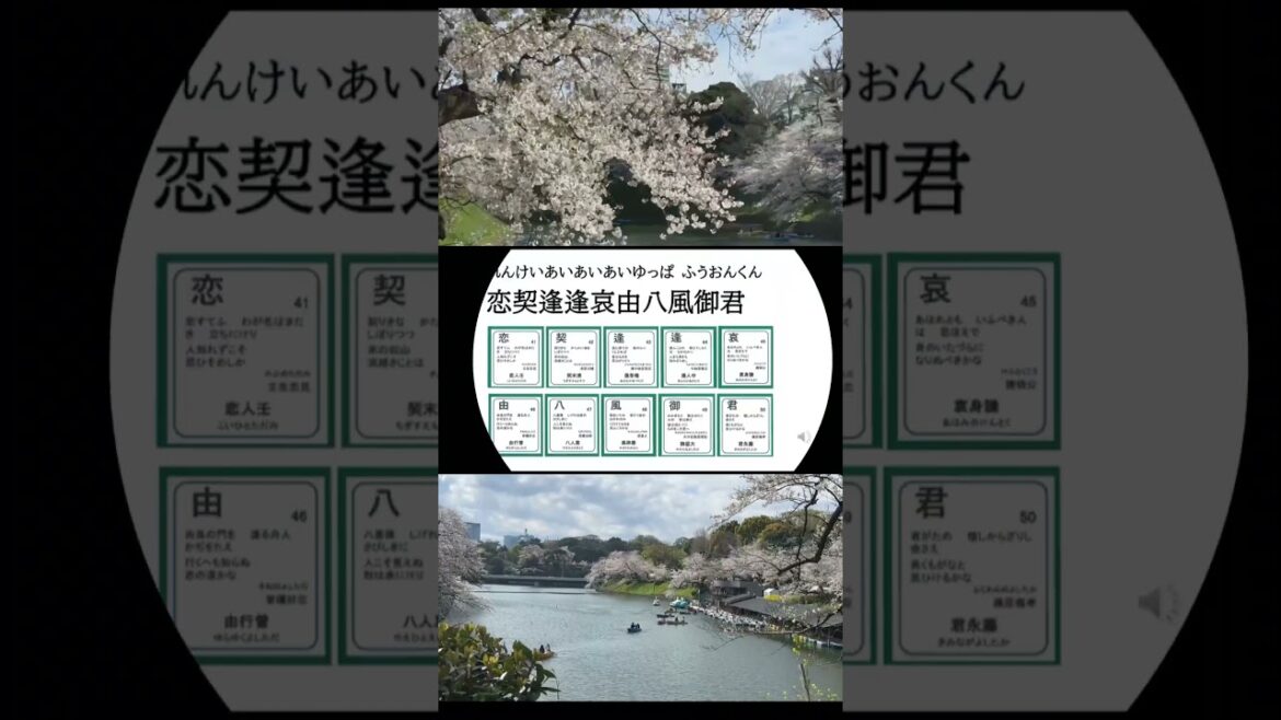 【春爛漫 東京 千鳥ヶ淵 桜満開 No7】【名曲への誘い #ピアノ後藤泉】【#Symphony 9 ode to joy Beethoven: piano Izumi 】【百人一首の記憶子】