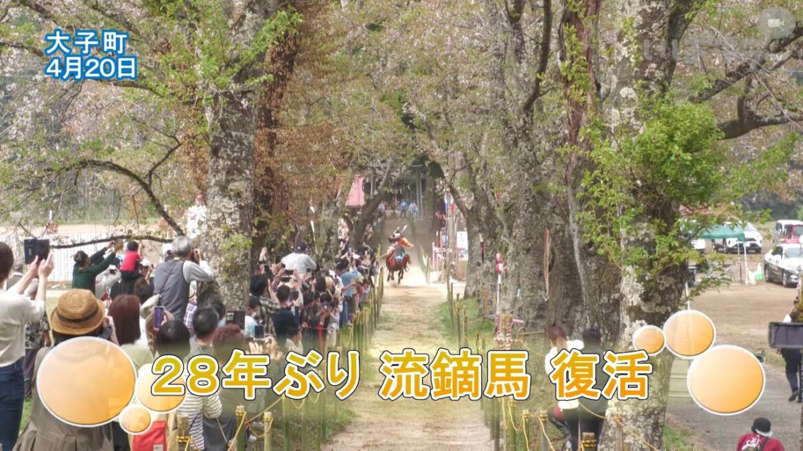 28年ぶり 流鏑馬復活【いばキラニュース】R6.4.22