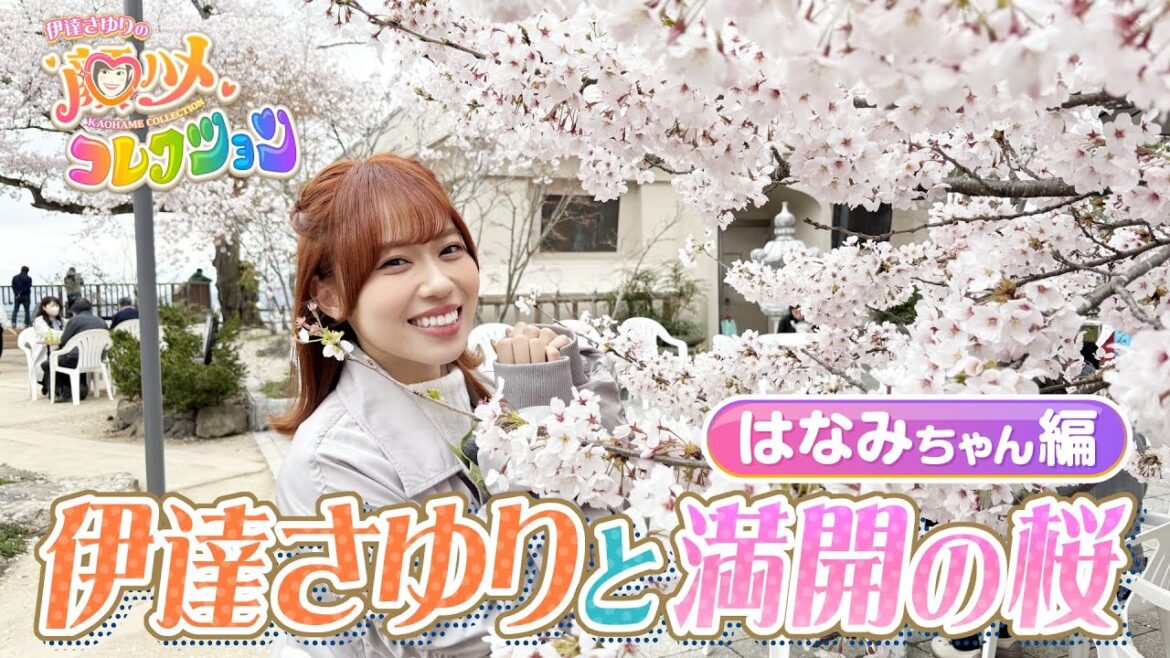 【さゆコレ】声優・伊達さゆり 桜満開!🌸桜×柚子の妖精さんになりきる♥初めての「箸上げ」にも挑戦!本編で採用なるか?