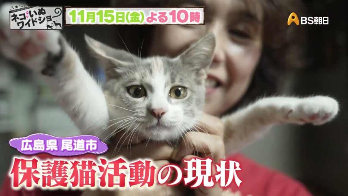 ゲスト:足立梨花【ネコいぬワイドショー】