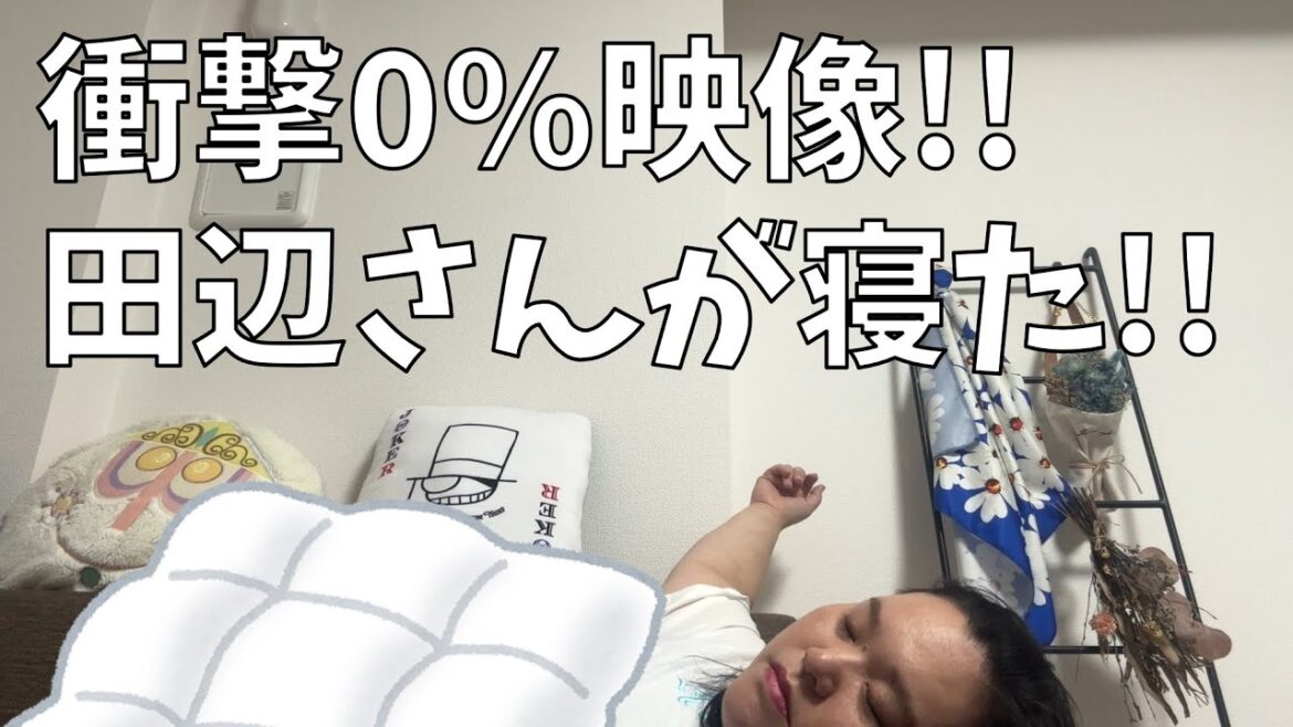 【伊藤園 黒酢で活力】黒酢飲んですぐお昼寝しちゃった人を見守る動画【疲労回復動画】