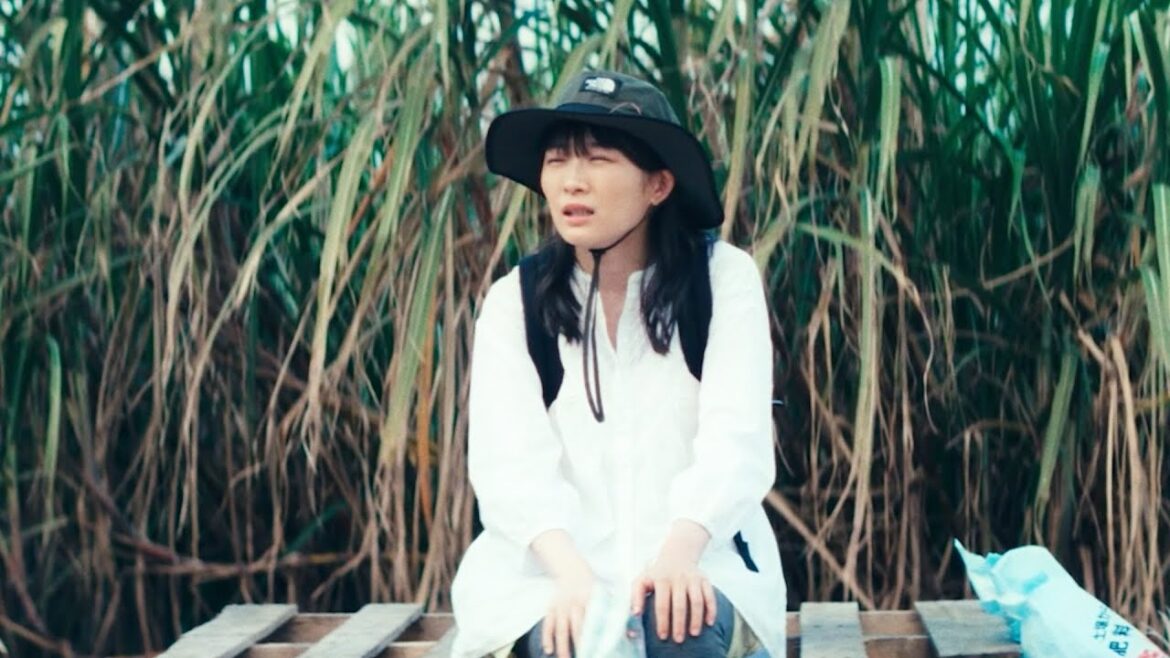 伊藤沙莉が流ちょうな沖縄弁を披露!累計14万部突破の小説『風のマジム』の映画化!