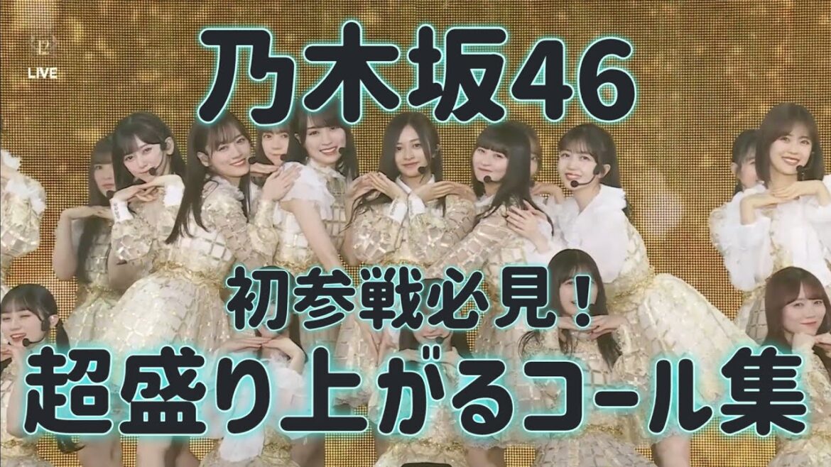 【13thバスラ】超盛り上がるコール集!!!!【乃木坂46】