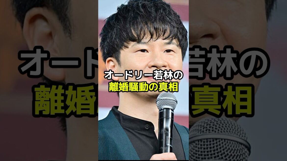 オードリー若林の離婚騒動の驚きの真相とは?