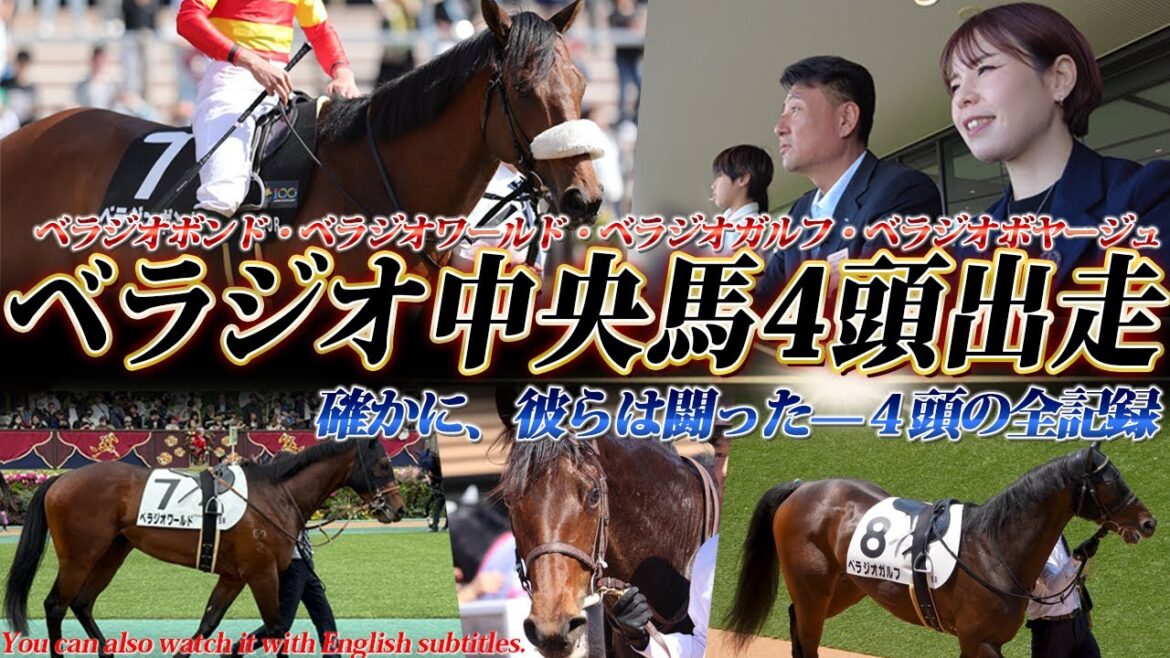 「ベラジオボンド」3勝クラスセンテニアル・パークS出走当日密着~2日間で中央馬4頭出走!!~【ベラジオch】#ベラジオボンド