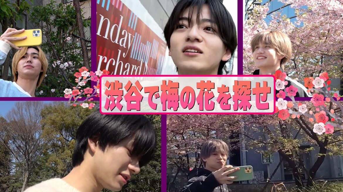 Lil かんさい【梅の花を探せin渋谷】意外に咲いているので…梅花見もいいかもネ