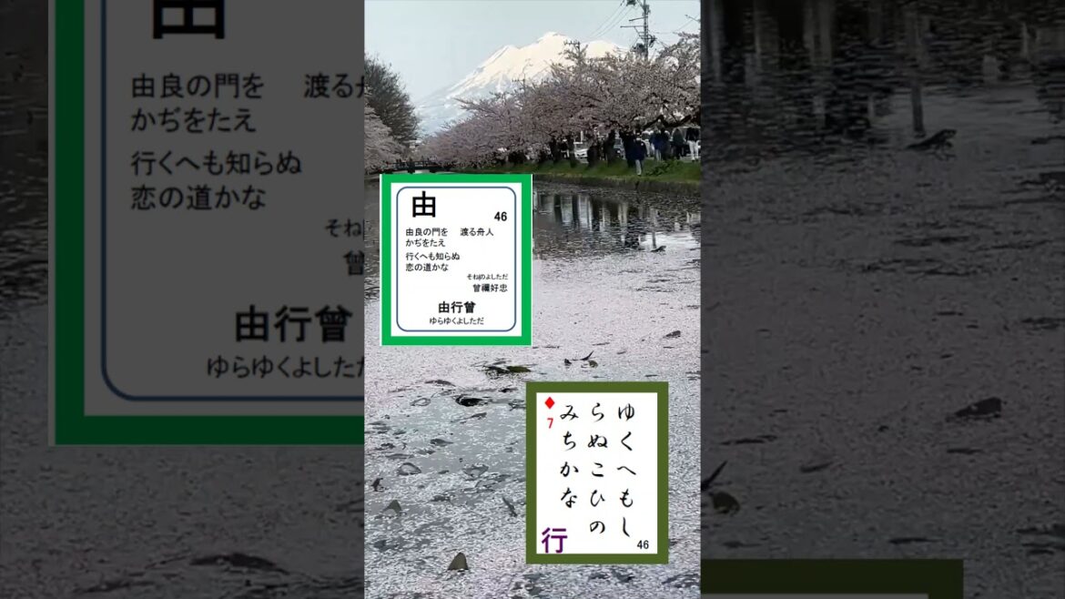 【春爛漫 弘前城 桜 桜満開 No1 】【名曲への誘い #ピアノ後藤泉】【#Symphony 9 ode to joy Beethoven: piano Izumi 】花吹雪、花筏、桜富士:津軽富士