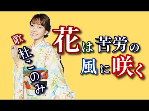 杜このみ ♪花は苦労の風に咲く