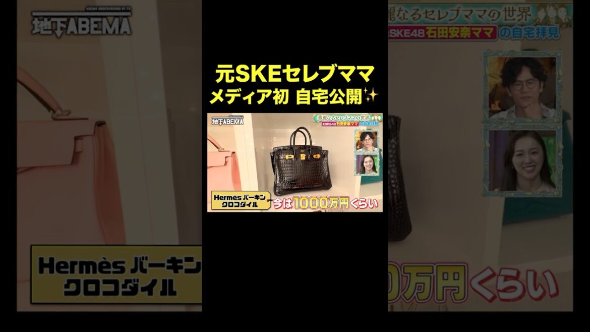 22歳差婚の元アイドルセレブママの豪邸がすごい😍#ななにー #稲垣吾郎 #草彅剛 #香取慎吾