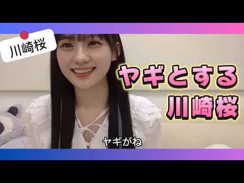 【川崎桜】ヤギとする さくたん【乃木坂46】【ドバイ案件】
