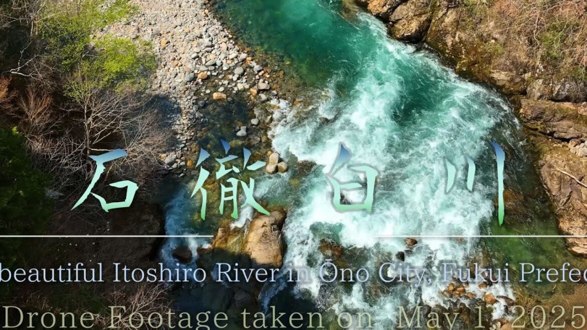 雪解け水と新緑が美しい「石徹白(いとしろ)川」The Itoshiro River, beautiful with snowmelt and fresh greenery