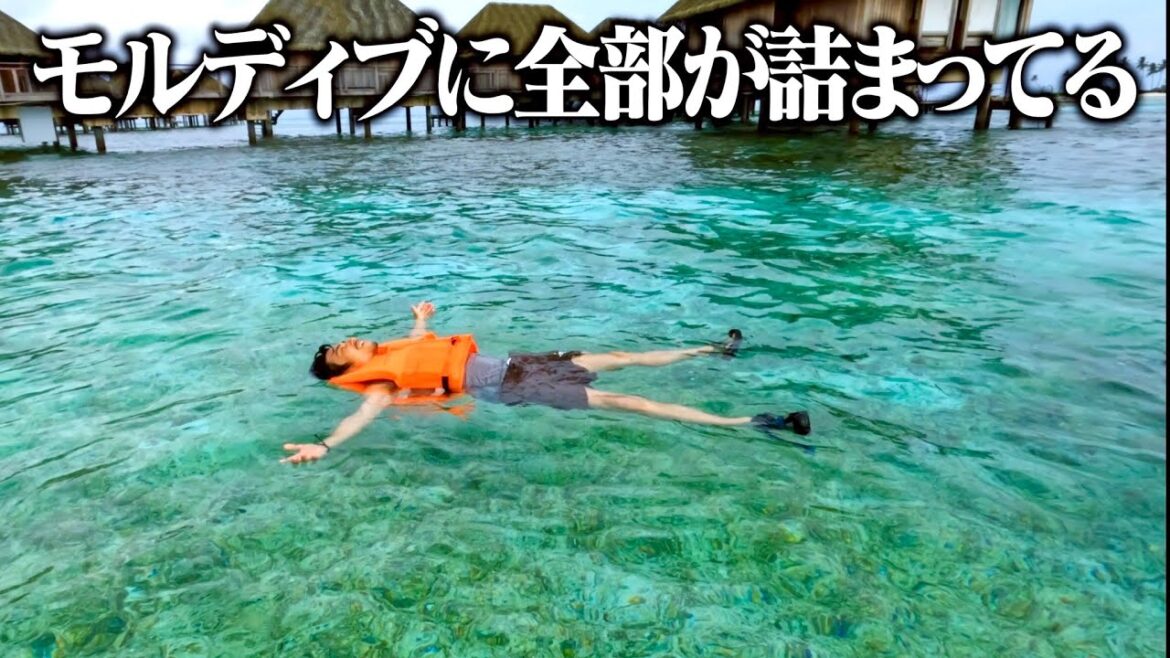 【感動】家族で最高体験ができる島があった