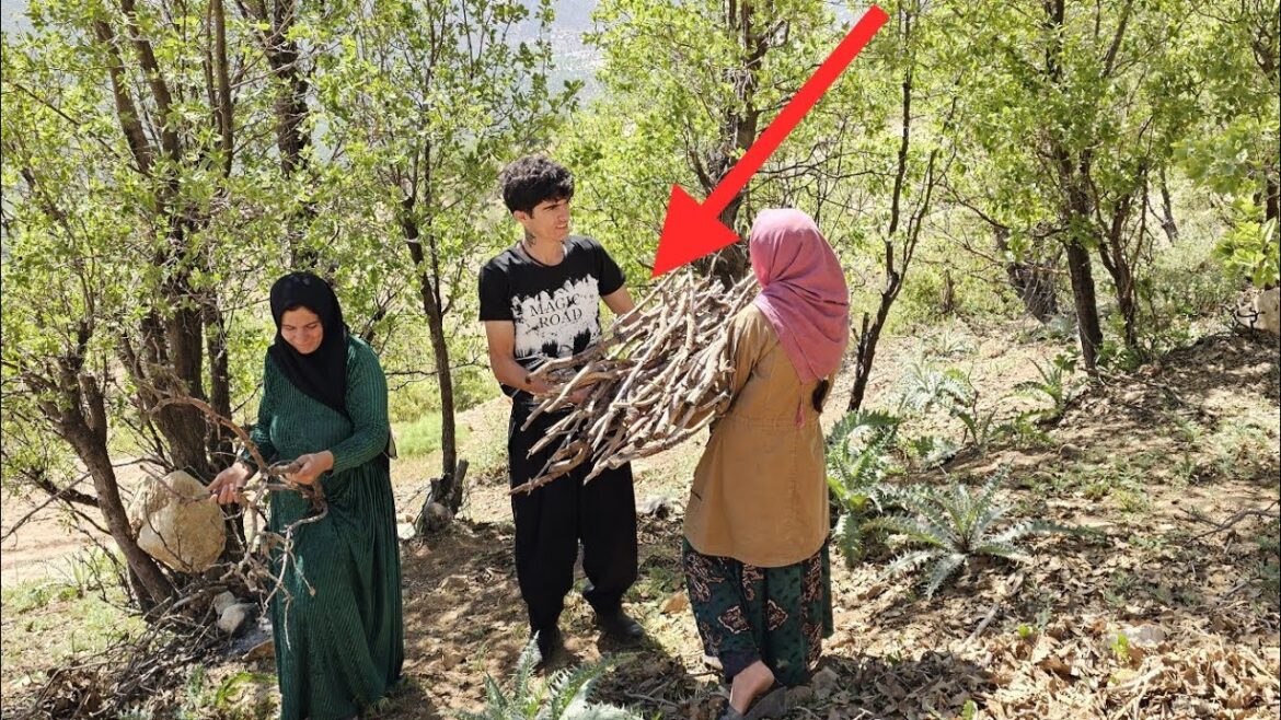 “Connected by Blood and Veins: Zeinab’s Deep Love and Her Unbreakable Bond with Reza”😍❤️