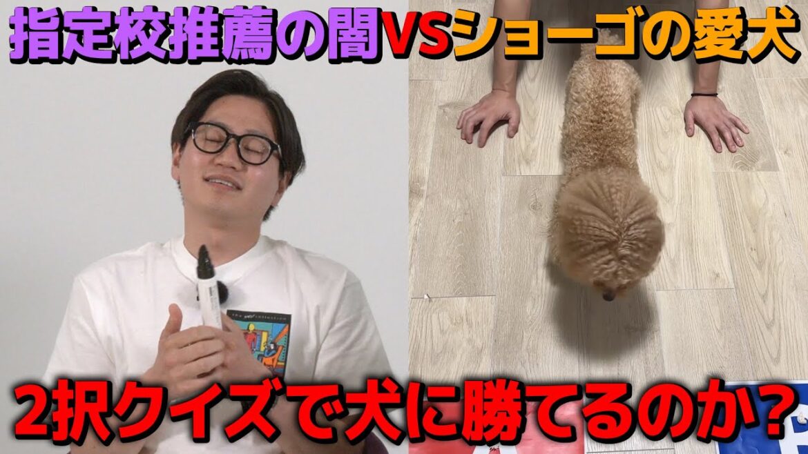 【2択クイズ】指定校推薦の闇VSショーゴの愛犬