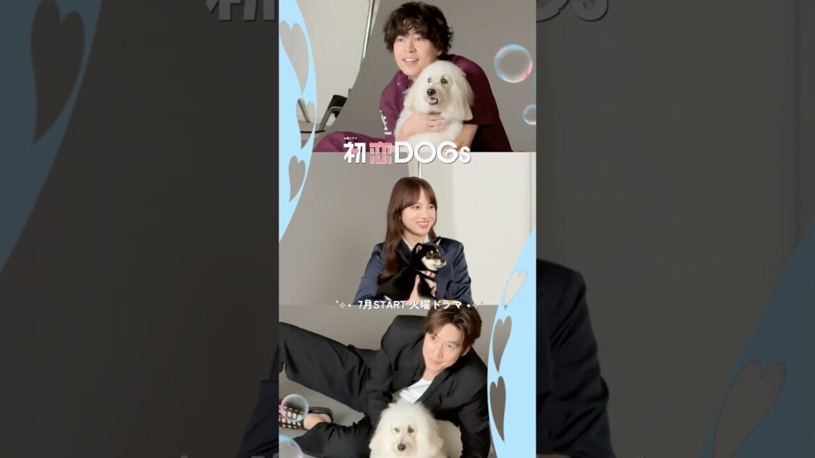『#初恋DOGs』🐕ビジュアル撮影の様子📸 #清原果耶 #成田凌 #ナイヌ