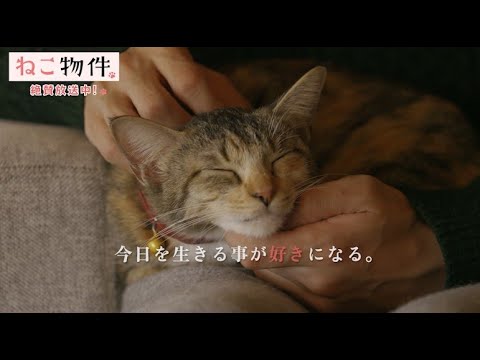 古川雄輝に撫でられ、ご満悦な猫が可愛い!猫愛あふれるオリジナルドラマ『ねこ物件』第 5 話予告が公開!