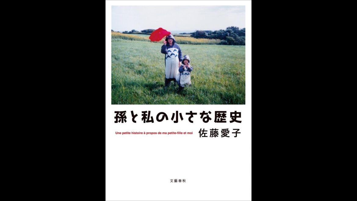 【紹介】孫と私の小さな歴史 (佐藤 愛子)