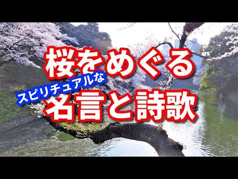 桜をめぐるスピリチュアルな名言と詩歌 Spiritual Quotes and Poems about Cherry blossoms