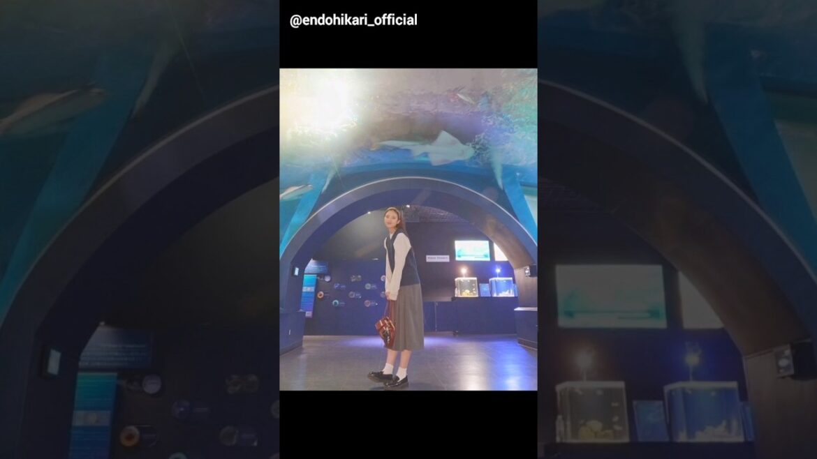 遠藤光莉 ひかりんと水族館デート♪アクアパーク品川 櫻坂46