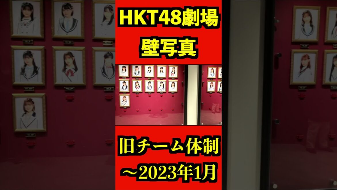 HKT48 旧体制 壁写真