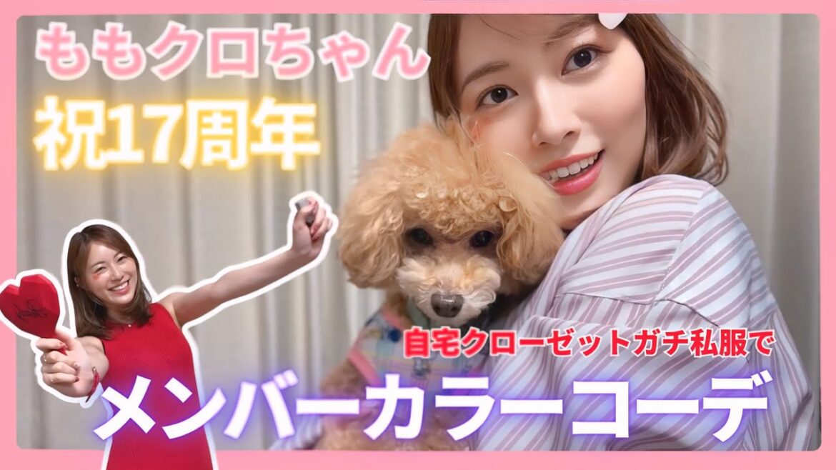 【推し活】ももクロちゃんの記念日に自宅クローゼットから私服でメンバーカラーコーデ組んでみた!!