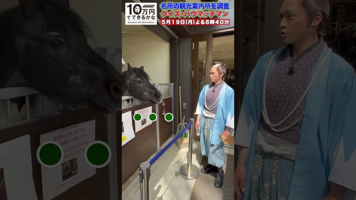 ウマと会話するキスマイ二階堂 【5月19日(月)よる8時40分放送】#10万円でできるかな#キスマイ #kismyft2# 二階堂 #馬のエサやり #アイドルとして上いける? #shorts