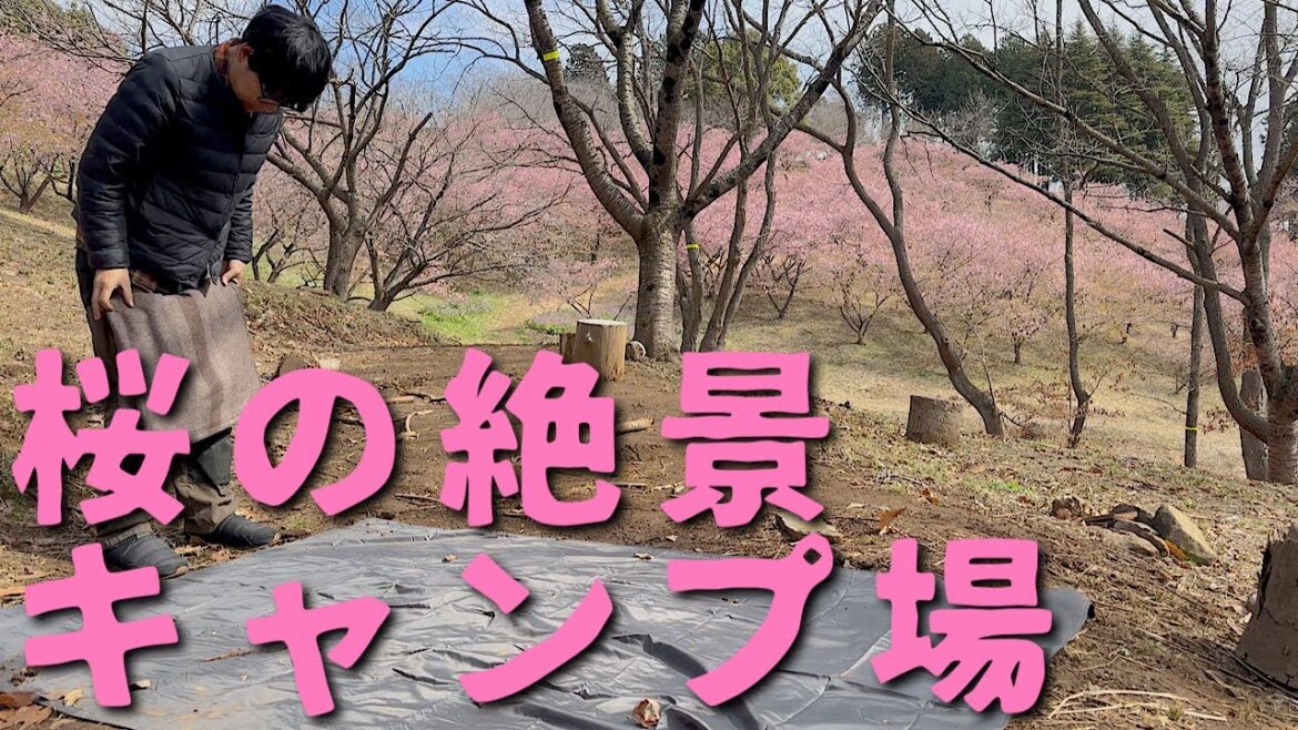 【キャンプ翌日】直火の正しい片付け+あまりもので朝食