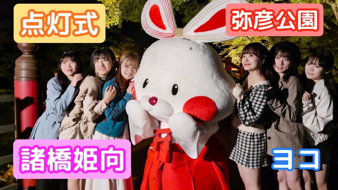 【4K映像】諸橋姫向「点灯式 弥彦公園」ヨコ