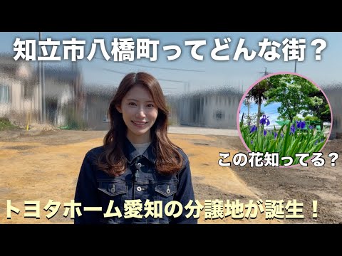 知立市八橋町を探索してきました!【分譲地情報】