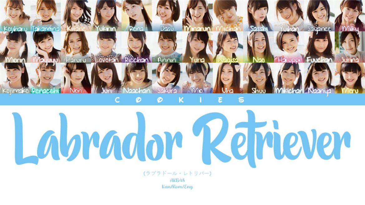 AKB48 – Labrador Retriever (ラブラドール・レトリバー) (Kan/Rom/Eng Color Coded Lyrics)