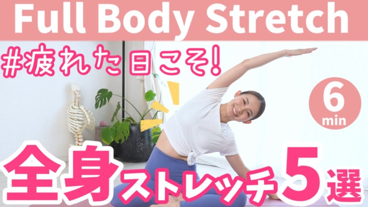 【寝る前ストレッチ】今日の疲れは今日のうちに!疲れはストレッチで解消! BY310