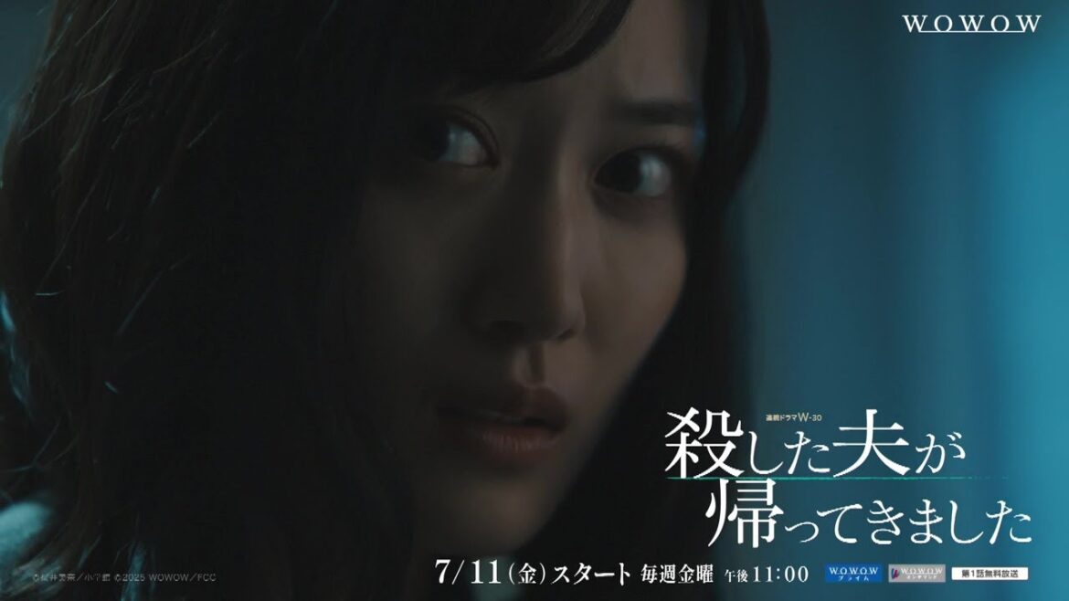 連続ドラマW-30「殺した夫が帰ってきました」特報映像【WOWOW】