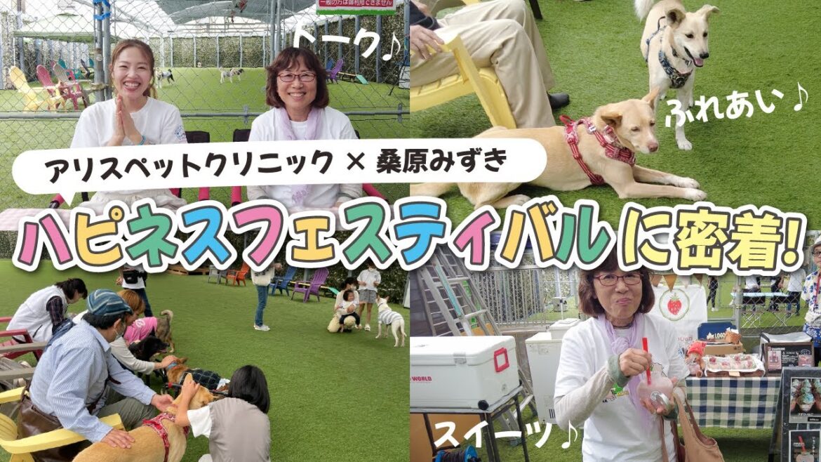 【アリスペットクリニック×桑原みずき初コラボイベント!✨】2日間のハピネスフェスティバルに密着!